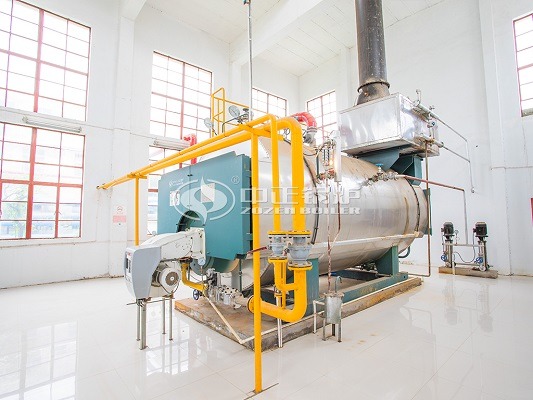 Oil gas steam boiler