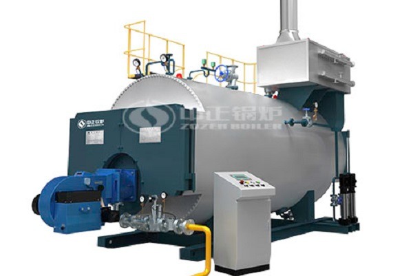 WNS series hot water boiler
