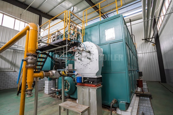 Gas steam boiler customization