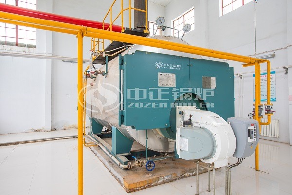 WNS type gas fired boilers