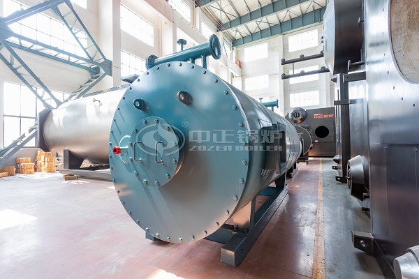 LPG thermal oil boilers