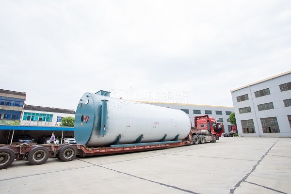 Gas fired thermal oil boiler