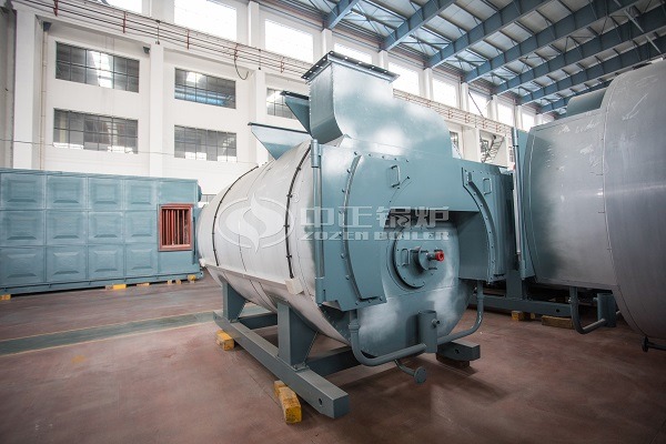 Gas-fired hot water boiler