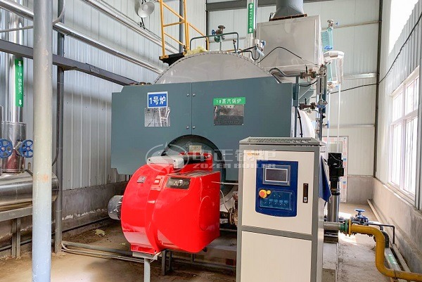 Low nitrogen condensing boiler