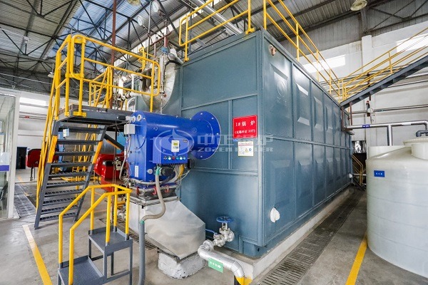 20 Tons SZS gas boiler