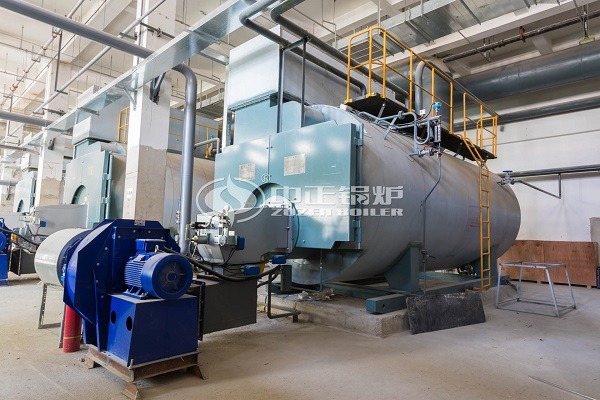 Industrial biogas steam boiler