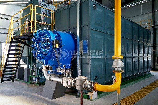 25 Tons gas steam boiler