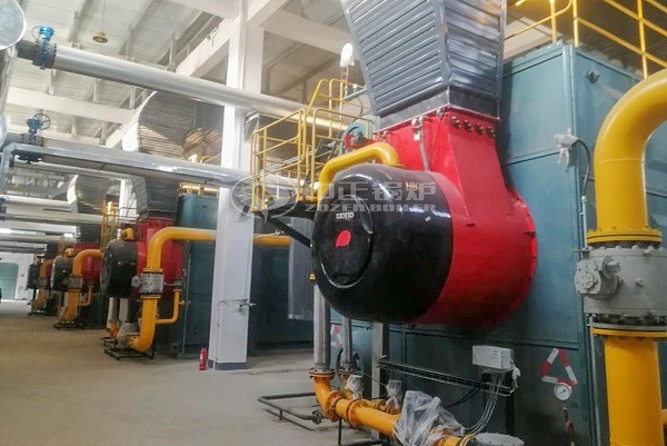 SZS series hot water boiler
