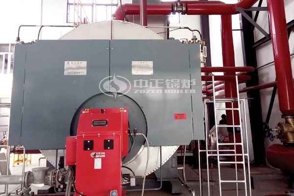 WNS condensing boiler
