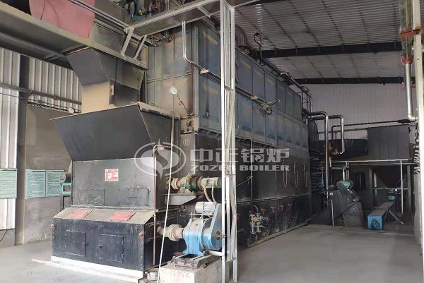 Biomass fired boiler structure