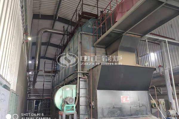 DZL series biomass boiler