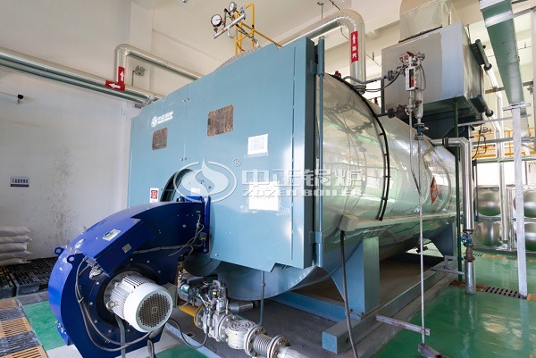 Fire tube gas boilers