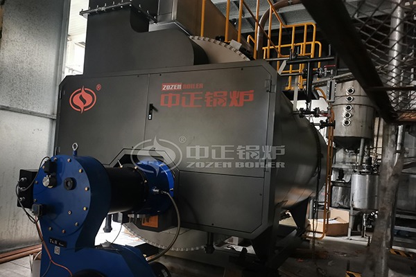 6ton gas fuel boiler