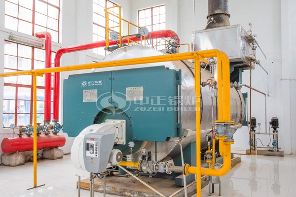 wns series gas fired boiler