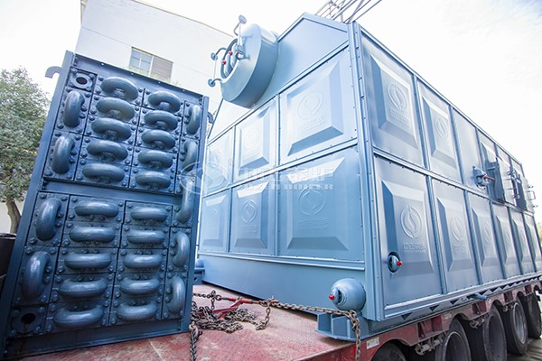 6 ton coal fired boiler