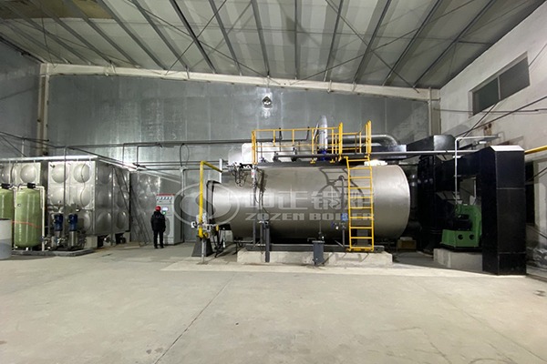 wns series oil gas fired steam boiler