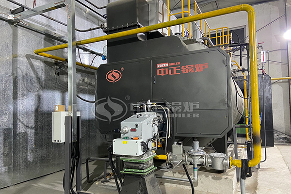 6 tons gas fired boiler