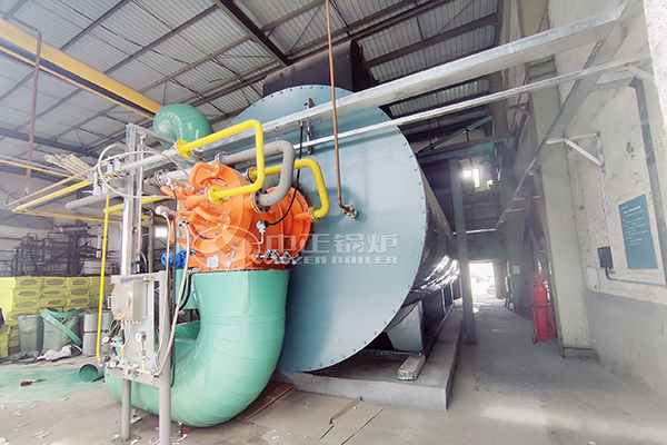 gas fired thermal oil boiler