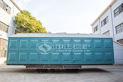 biomass fired chain grate boiler