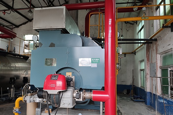 fire tube boiler in pharmaceutical factory