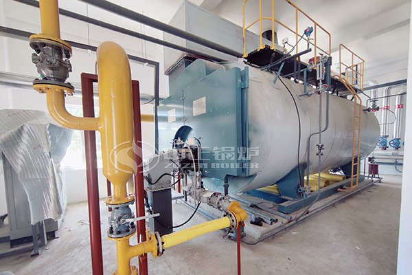 gas fired steam boiler in South Africa