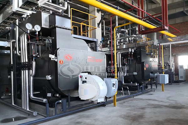 6 ton gas fired steam boiler for food plant
