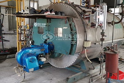 ZOZEN WNS series gas fired steam boiler
