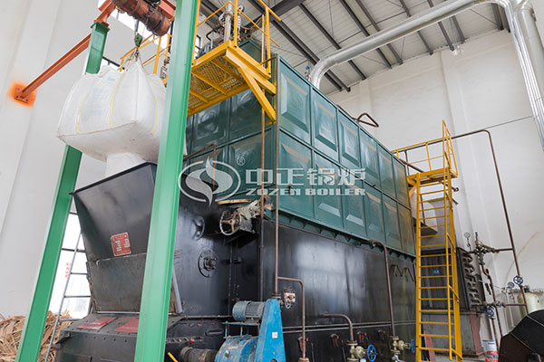 6 ton coal biomass fired boiler