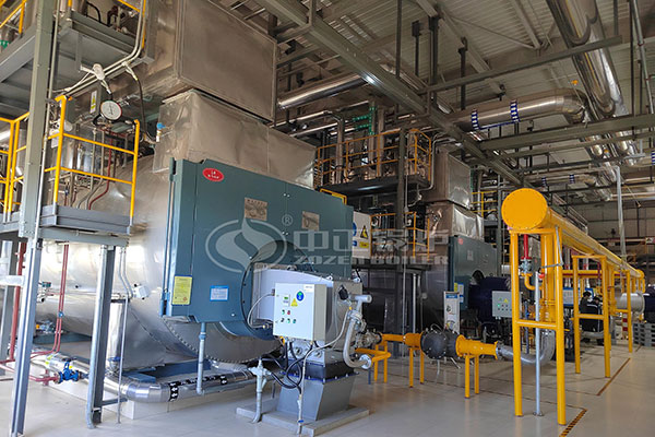 dairy industrial gas steam boiler