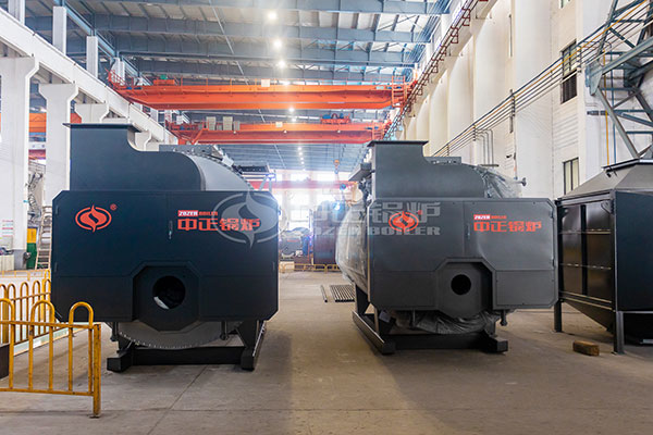 Food factory use gas steam boiler