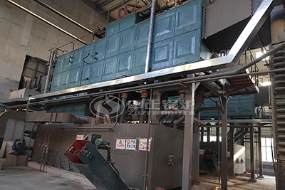 ZOZEN 20 ton biomass fuel steam boiler