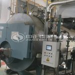 10 TPH Gas Fired Boiler for The Dairy Industry