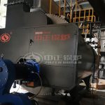 6Ton Gas Fuel Steam Boiler for PET Bottle Manufacturing Process