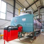 6tph and 10tph Gas Fired Steam Boilers Used in Hospital
