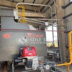 2000KG/H Gas Steam Boilers Manufacturer