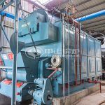 Mongolia 3 Ton Biomass Rice Husk Steam Boiler