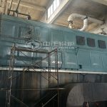 10 Ton Capacity Rice Husk Fired Steam Boiler
