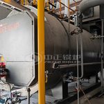 6 TPH Gas Fired Condensing Boiler Price in Mongolia