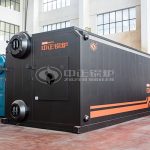 Water Tube Gas Fuel 45 t/h Boiler Price