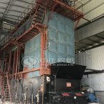 Coal Fired Traveling Grate Boiler for Sale