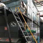 8 TPH Coal Fired Boiler for Pakistan Feed Factory