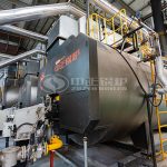 6 tph Steam Boiler for Pharmaceutical Industry