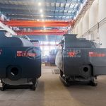ZOZEN Steam Boiler Used in Food Factory